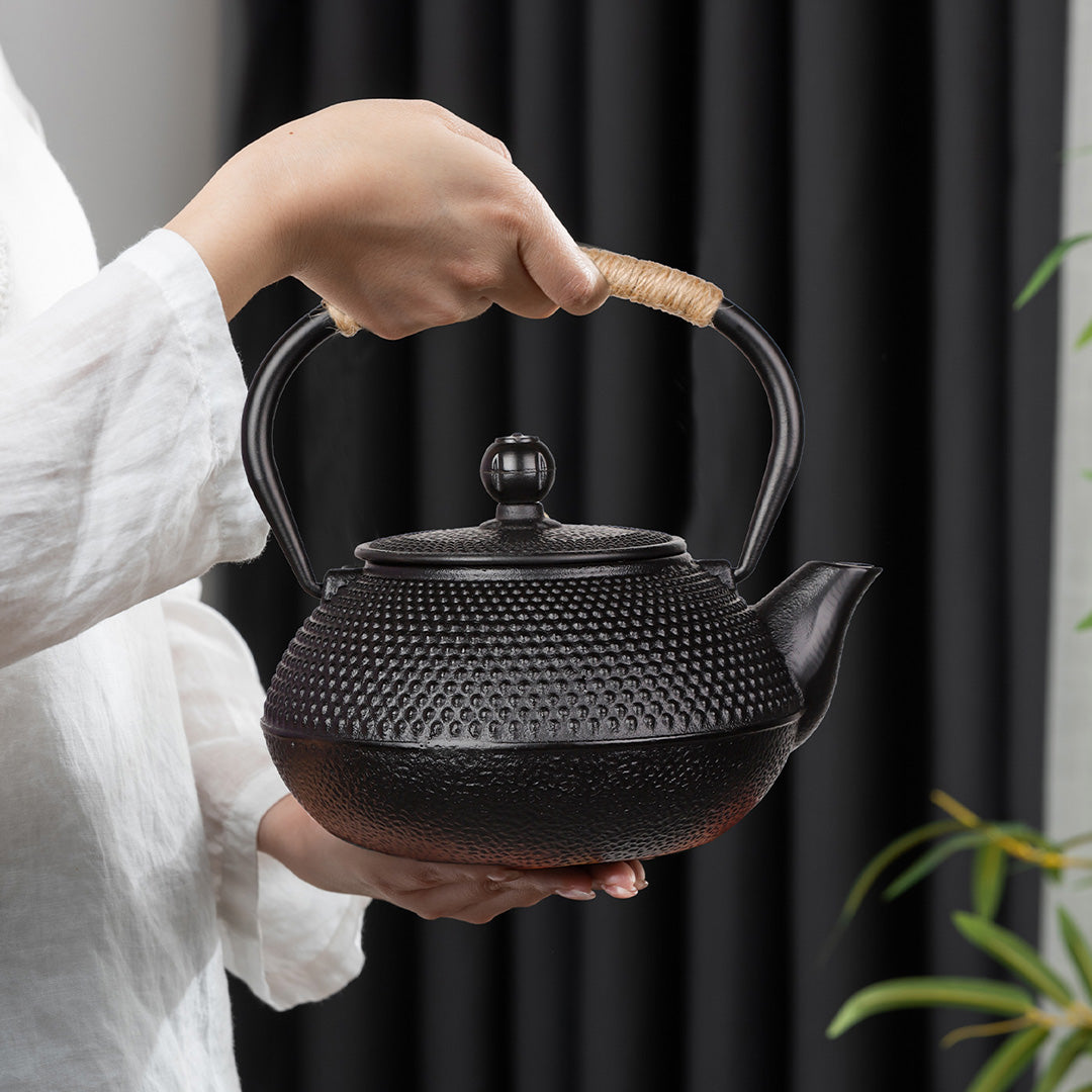 PARACITY Cast Iron Teapot Japanese Tetsubin Coated with Stainless Steel Infuser