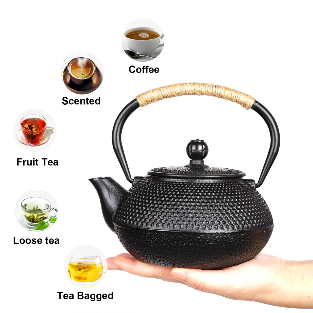 PARACITY Cast Iron Teapot Japanese Tetsubin Coated with Stainless Steel Infuser