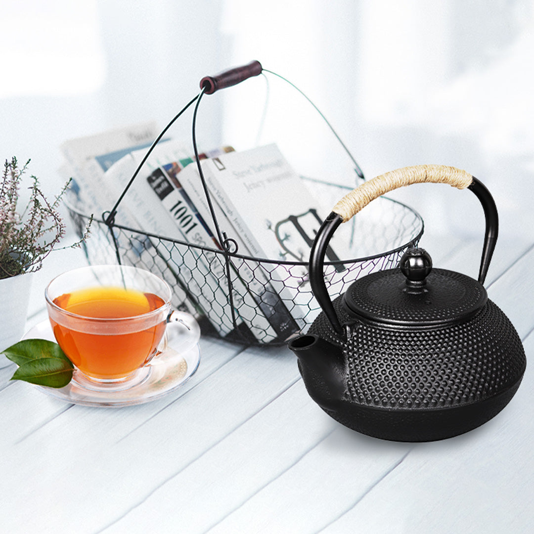 PARACITY Cast Iron Teapot Japanese Tetsubin Coated with Stainless Steel Infuser