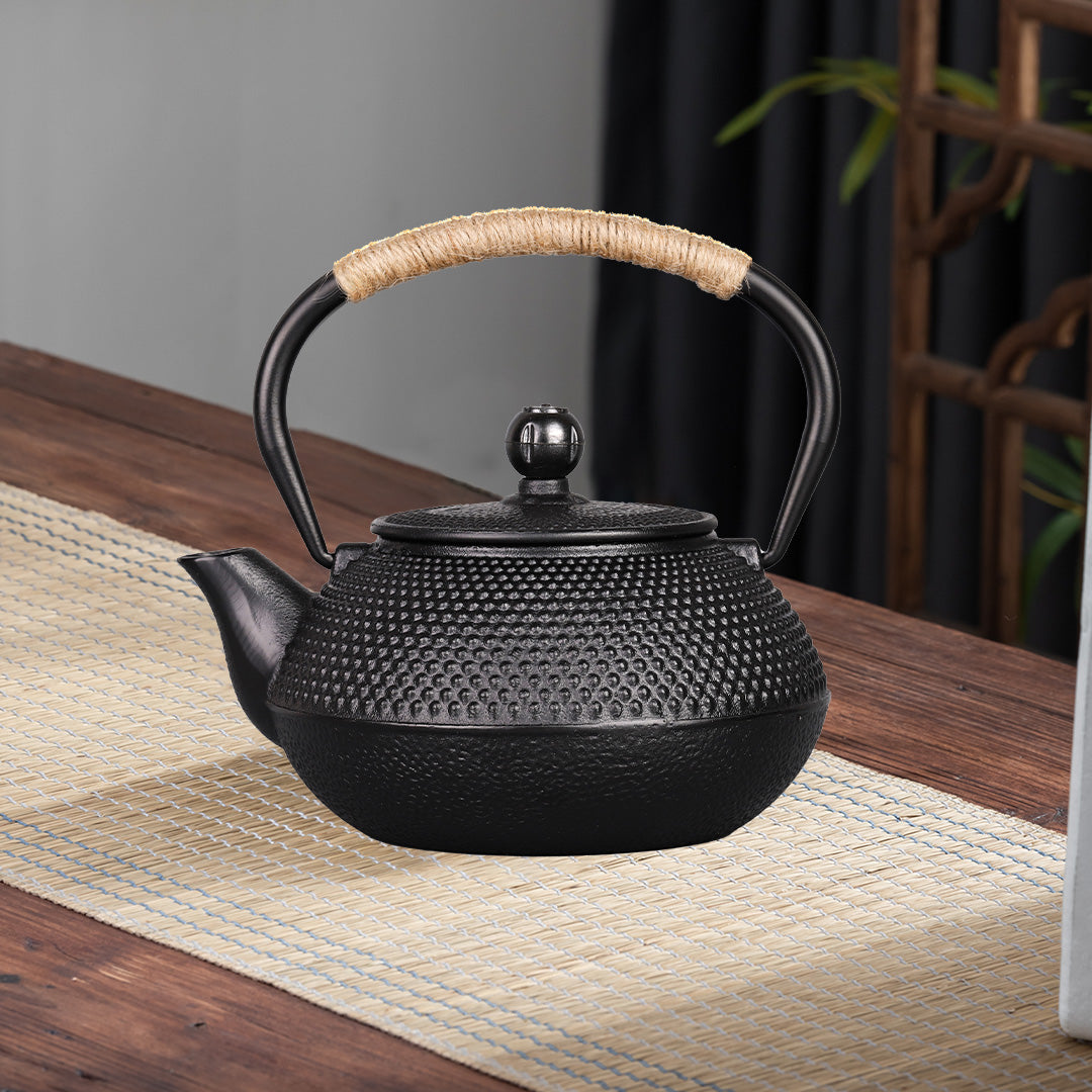 PARACITY Cast Iron Teapot Japanese Tetsubin Coated with Stainless Steel Infuser